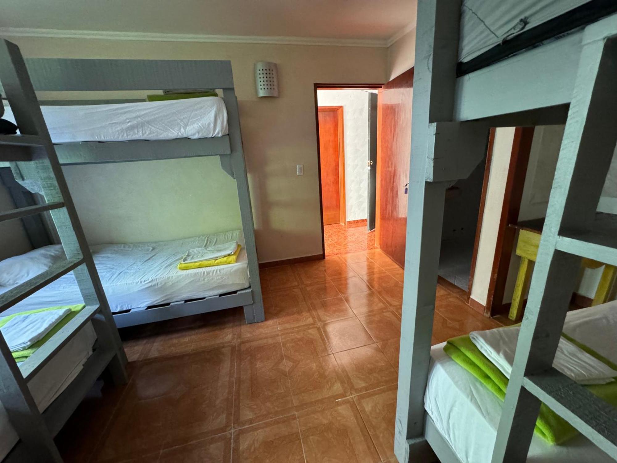 Pecari 26 Apartment Cancun Exterior photo