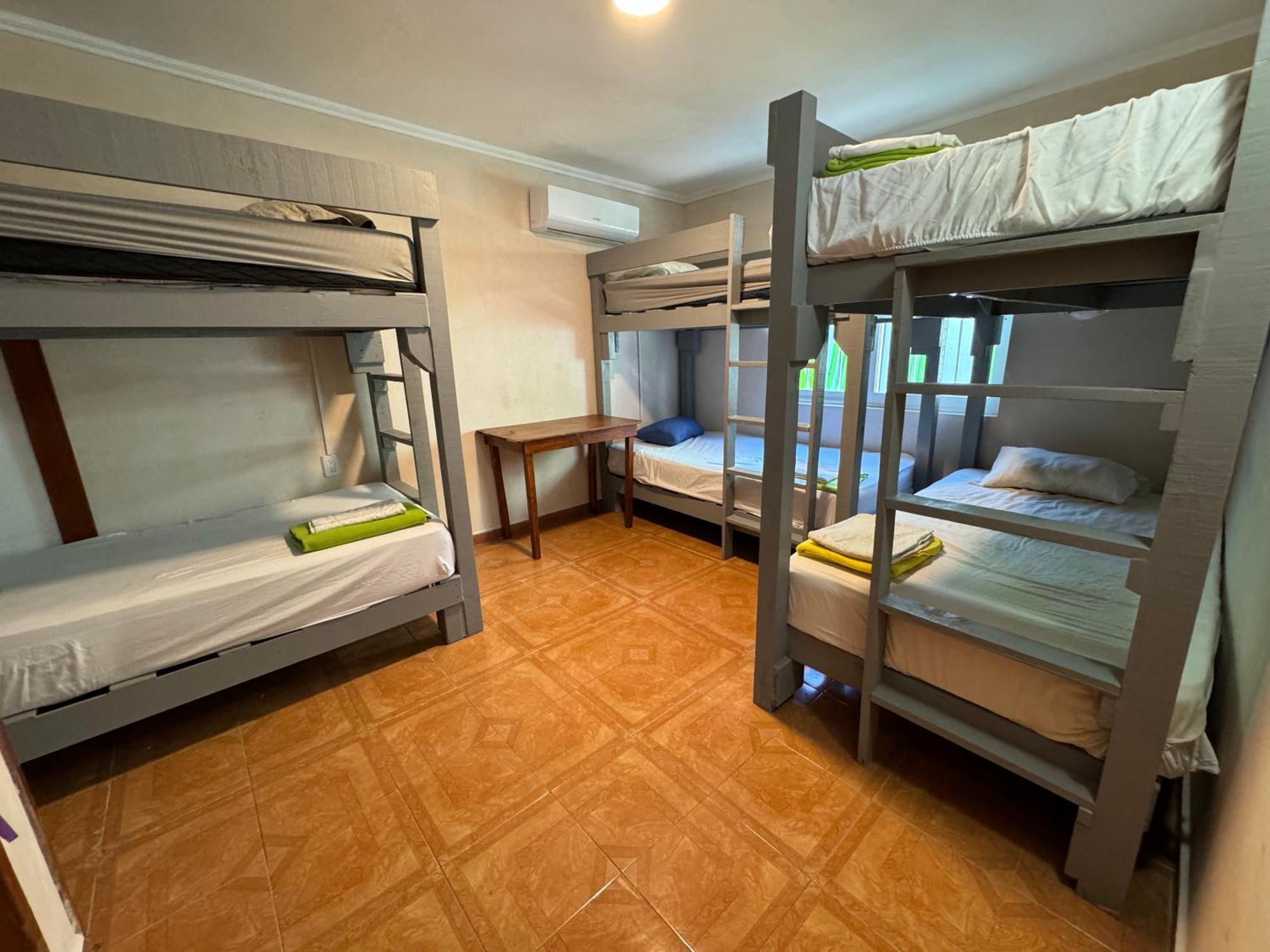 Pecari 26 Apartment Cancun Exterior photo